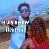 Destroy  By Elvis Kenny